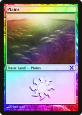 Plains (Version 365) FOIL 10th Edition NM Basic Land MAGIC MTG CARD ABUGames