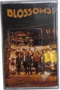 Blossoms BlossomsCassette Album Virgin EMI Indie Rock 2016 limited edition - Picture 1 of 11