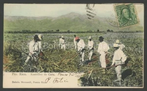 ANTIQUE POSTCARD / SUGAR CANE WORKERS/ BOLETIN MERCANTIL / PUERTO RICO 1903 - Picture 1 of 2