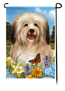 Summer Flowers Garden Flag - Cream Sable Havanese - Picture 1 of 1