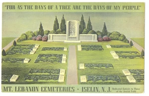 ISELIN NJ - Mt. Lebanon JEWISH CEMETERIES ca1940s Linen AD Postcard - RARE - Picture 1 of 2