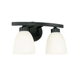 HomePlace Lighting Jameson 2 Light 13 inch Matte Black Vanity Light Wall Light - Picture 1 of 1