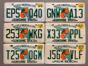 EIN FLORIDA NUMMERNSCHILD SUNSHINE STATE/ORANGE ZUFÄLLIGE BUCHSTABEN/ZAHLEN IM ANGEBOT! - Bild 1 von 7