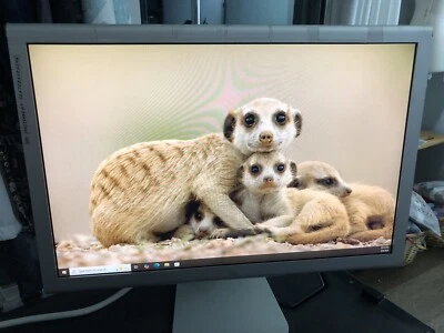 Apple 20" Widescreen LCD Cinema Display | A1081- Tested - Image 1 of 4