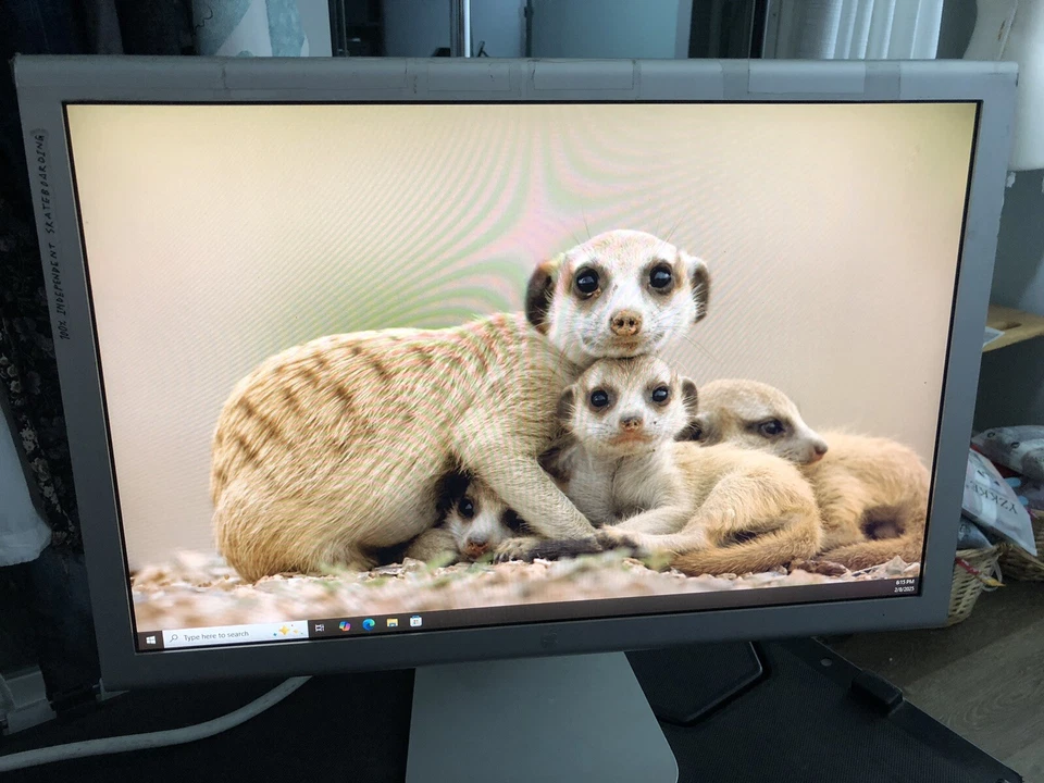 Apple 20" Widescreen LCD Cinema Display | A1081- Tested - Image 1 of 4