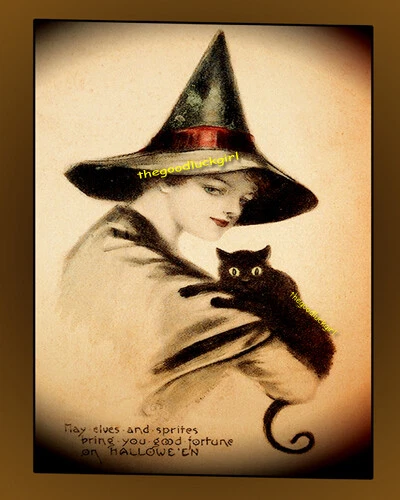 BELA BRUXA 5x7 com GATO PRETO Vintage 1910 Cartão Postal de Halloween Impressão Artística - Imagem 1 de 1