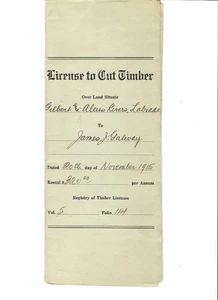 Bigjake: Newfoundland - 1915 License to Cut Timber - Picture 1 of 2