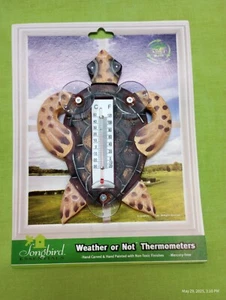 Weather or Not Thermometer Turtle - Picture 1 of 1