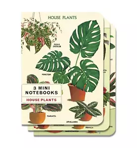 Cavallini - 3 mini cuadernos - plantas de casa - interiores forrados/en blanco/gráfico - Imagen 1 de 7