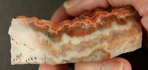 Chalcedony var. Coral Agate- Saxony, Germany – ex. Ellis - Picture 1 of 8