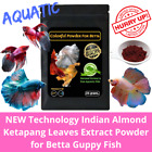 NP colorful powder+KETAPANG for Betta-AQUATIC PASSION Guppy fish FAST SHIPPING