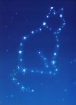 Cat Constellation Pet Sympathy Card - Greeting Card by Avanti Press