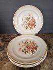 Set Of 4 Dinner Plates Festive Endure Collection Stoneware SY-6669 Japan