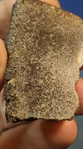 Jurassic Pliosaurus Bone. Abingdon UK. Polished. 55 x 35mm. As Shown. - Picture 1 of 5