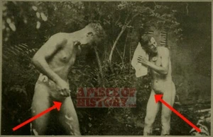 FOTO ORIGINAL DE DESNUDOS ALEMANES DE LA SEGUNDA GUERRA MUNDIAL SOLDADOS DESNUDOS DESNUDOS BAÑÁNDOSE - Imagen 1 de 1