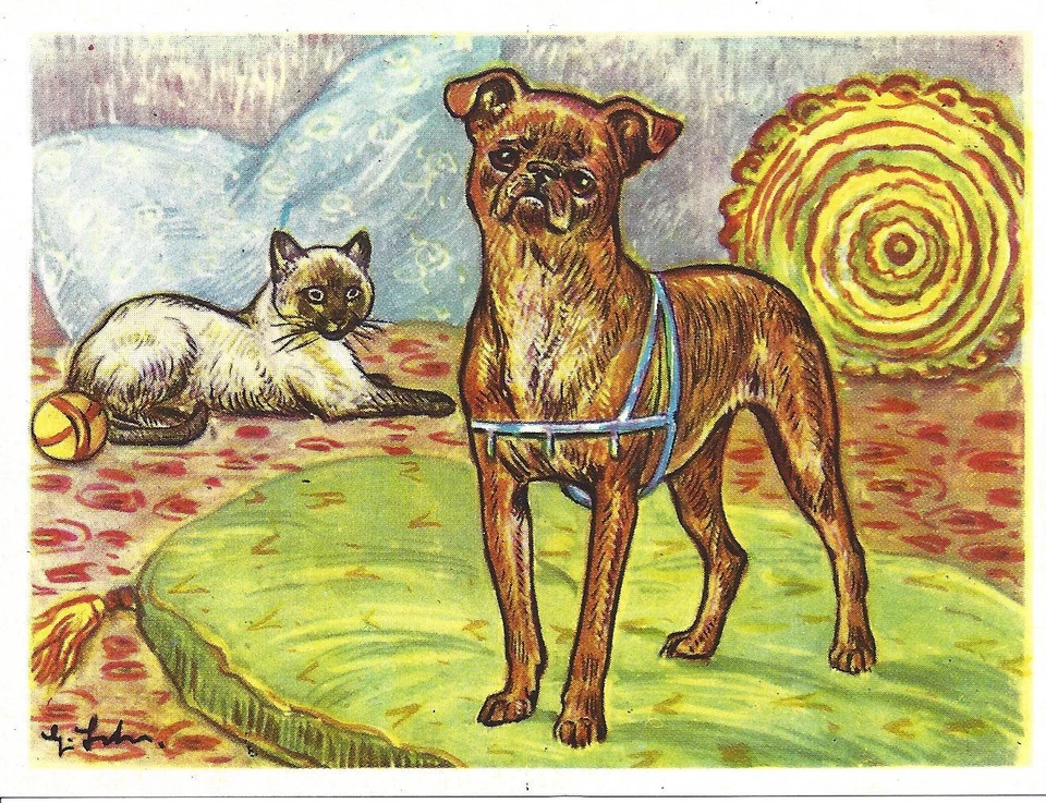 Tarjeta Bildwerk 1952 impresión de arte de perro Austria Brabancon Bruselas Griffon Bruxellois Foto 1 de 1