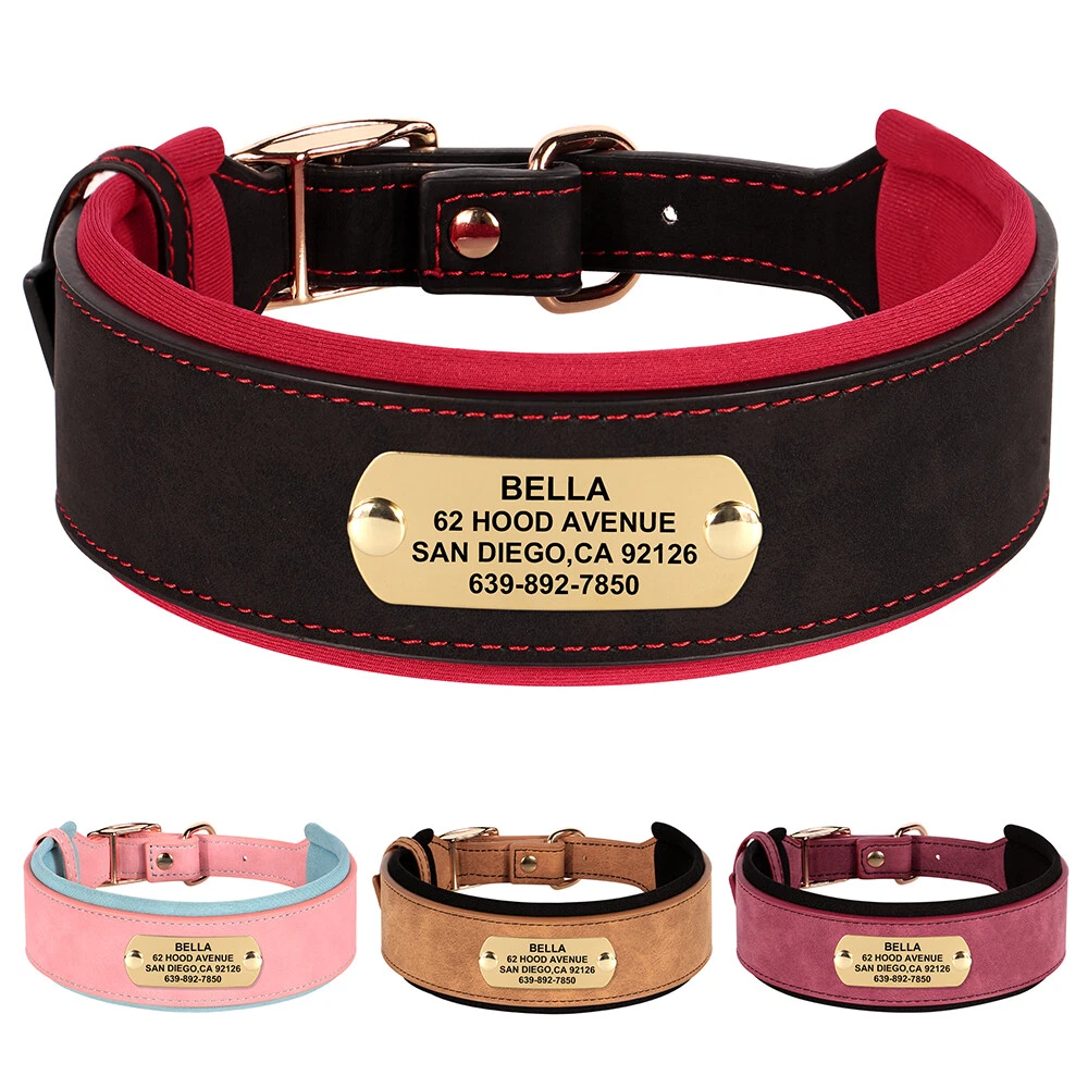 RICH Lederhalsband Für Hunde – Extra Breit, Punziert, Aus Rindsleder, Hohe Zugkraft, Größen M/L/XL
