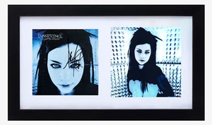 Amy Lee Signed Evanescence Fallen CD Cover Framed Display Autograph Beckett COA - Picture 1 of 4