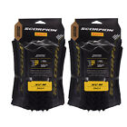 Pirelli Scorpion XC M 29x2.4 Gold Color Edition Tubeless MTB Tires (2 Pack)