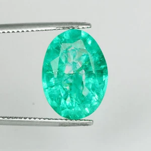 Esmeralda verde corte ovalado colombiano natural certificado 8,65 quilates Piedras preciosas sueltas - Imagen 1 de 5
