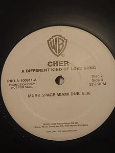 CHER A Different Kind Of Love Song PROMO 2 x 12" VINYL 6 Mixes WB 100933 - Imagen 1 de 7