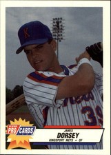 1993 Kingsport Mets Fleer/ProCards #3808 James Dorsey