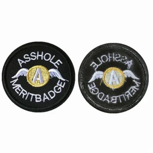 10pcs Ass Hole Merit Badge Embroidered Motif Applique Badge Wings Sew On Patch - Picture 1 of 13