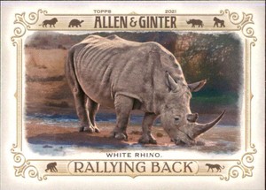 2021 Allen and Ginter Rallying Back #RB-7 White Rhino