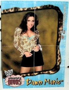 WWE - ABSOLUTE DIVAS 2002 - DAWN MARIE - MINI POSTER - Picture 1 of 1