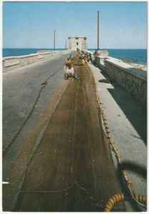 TRAPANI - TORRE DI LIGNY - TRAVEL -56520- - Picture 1 of 1