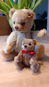 Zwei Steiffbären Steiff Bär 0228/33 und Steiff Bär 030147 - Bild 1 von 4