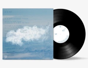 SE SO NEON 새소년 Summer Plumage Vinyl Record LP New SEALED / FEDEX - Imagen 1 de 2