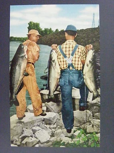 Kentucky Lake Tennessee River Männer Angeln Welse Farbe Chrom Postkarte um 1950 - Bild 1 von 2