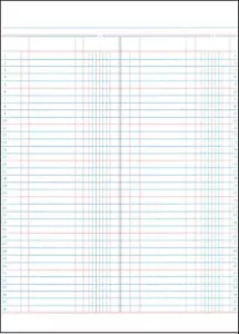 Ledger sheets A4 (20 sheets), ruled both sides (40 pages total) - Picture 1 of 1