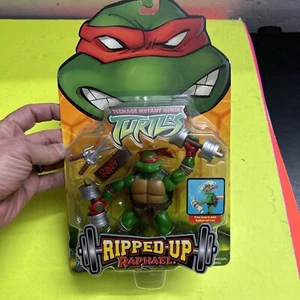 Teenage Mutant Ninja Turtles RIPPED UP Raphael Playmates Figure 2004.TMNT - Picture 1 of 10