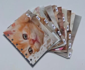 Organizador de bolsillo Filofax - juego de 12 divisores mensuales ojos de gato - laminado - Imagen 1 de 3