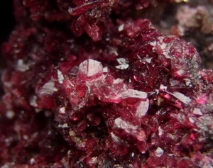 ROSELITE dark pink crystals !!! ++++ MOROCCO Bou Azzer Aghbar Mine /pj625 - Picture 1 of 11
