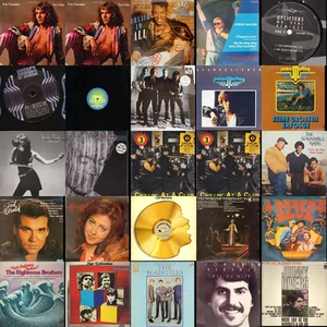 Collection of 29 x Vinyl Cliff Richard Johnny Rivers The Searchers - Foto 1 di 1