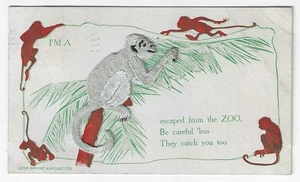 CARTOLINA APPLIQUE TESSUTO I'M A SCIMMIA SCAPPATA DALLO ZOO 1910 CIRCA - Foto 1 di 2