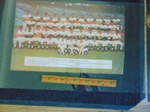 Imagen del equipo Minnesota Twins 1965 - Campeones de la Liga Americana - Imagen 1 de 4