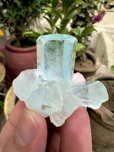 210 CTS Atemberaubend! Natürlicher Aquamarin komplette Kristalle Probe - Bild 1 von 10