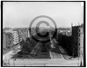 Commonwealth Ave., Boston, MA © 1904 - Picture 1 of 1