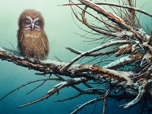 JACK CONEBY Original SMALL OWL Mid-Century Modern WATERCOLOR PAINTING / FLORIDA - Picture 1 of 5