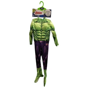 Jazwares Child's Marvel Incredible Hulk Costume with Jumpsuit Gloves & Mask - Picture 1 of 3