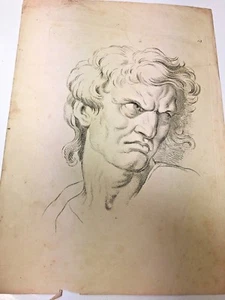 Engraving #19 Charles Le Brun's Human Physiognomy Study 18th / 19th Century - Picture 1 of 5