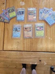 Bundle Staff Scarlet & Violet Paldea Paradox Stellar Surging Temporal Twilight - Foto 1 di 8