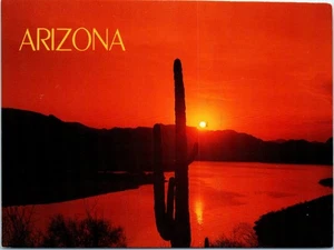 Saguaro-Kaktus silhouettiert von einem Sonnenuntergang reflektiert vor Canyon Lake, AZ. Postkarte - Bild 1 von 2