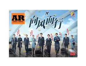 Flight To You 向风而行 (1-39End) Chinese Drama DVD English subtitle Region 0 - Picture 1 of 6