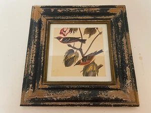 Rustic Framed Bird Picture - Picture 1 of 5