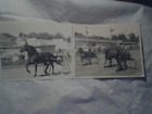 2-EARLY 1960s MATTI FORBES HARNESS RACING HORSE 10 x 8 PHOTO,Trotter,elmer johns